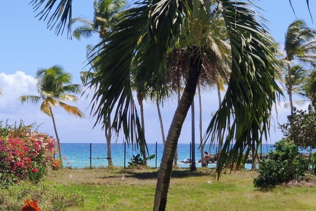 לה גוסייר Parfum Des Iles - Vue Mer, Plage A 30M Et Piscine En Option מראה חיצוני תמונה