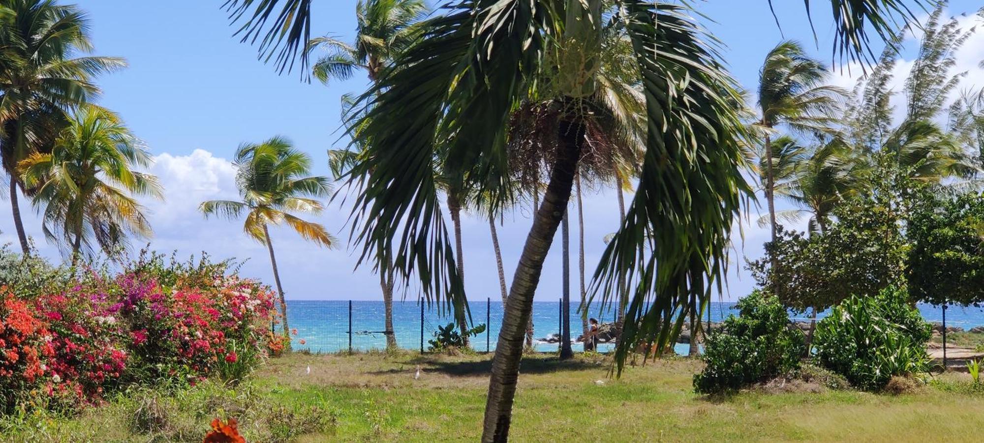 לה גוסייר Parfum Des Iles - Vue Mer, Plage A 30M Et Piscine En Option מראה חיצוני תמונה